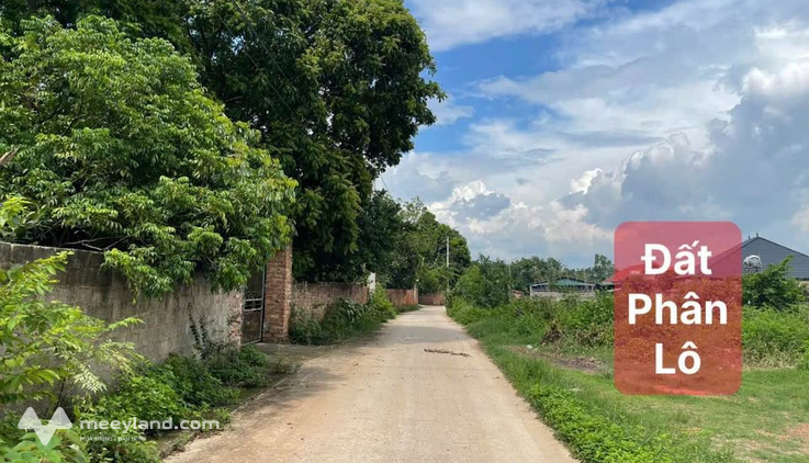 Mảnh đất bình yên tại Đạo Tú, Tam Dương, vị trí đắc địa