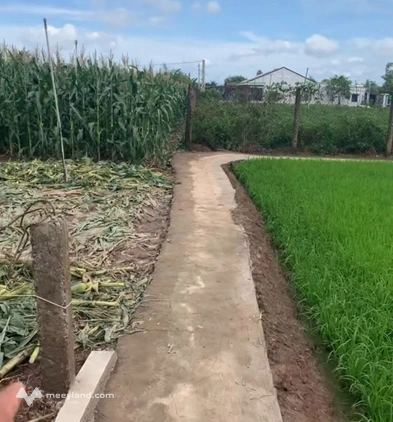 Đất nền 1000m2 tại Giồng Lãnh, Gò Công Đông, Tiền Giang
