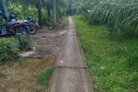 Đất vườn dừa xanh mướt, cơ hội đầu tư sinh lời không tưởng tại Bến Tre