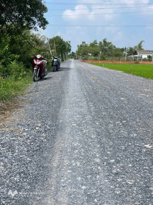 Đất vườn view kênh thoáng mát tại Mỹ Lộc, Cần Giuộc
