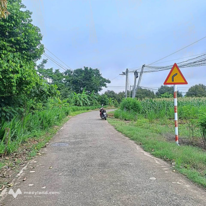 Bán gấp đất 175m2 full thổ cư, sổ hồng riêng tại Định Quán, Đồng Nai