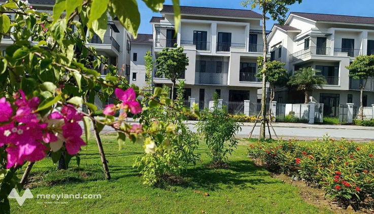 Biệt thự song lập hướng Nam, 225m², xây 3 tầng