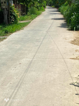 Mảnh vườn dừa sim 1900m2 tại Lương Hòa, Bến Tre, đầu tư hay xây nhà vườn đều tuyệt