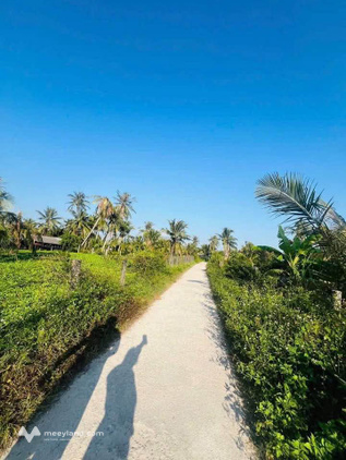 Bán đất tại Cát Hiệp, Phù Cát, Bình Định
