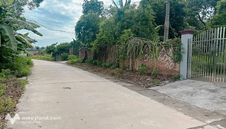 Sở hữu ngay lô đất 100m2 tại Tiên Kiên, Lâm Thao, Phú Thọ