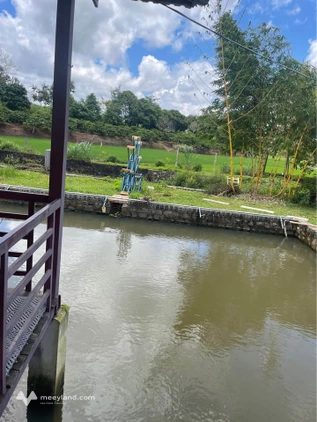 Nhà vườn xanh mát, view ruộng thơ mộng tại phường Hội Phú