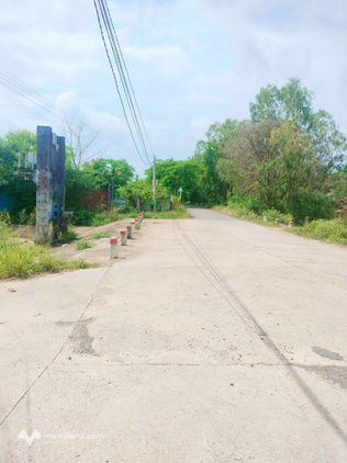 Bán gấp 2.2 công đất trồng cỏ tại An Điền, Bến Tre, giá chỉ 520 triệu
