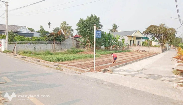 Đất Quảng Xương, giá cực yêu, đầu tư là thắng