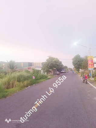 Đất đẹp giá rẻ tại Châu Đốc, đầu tư hay ở đều cực chất