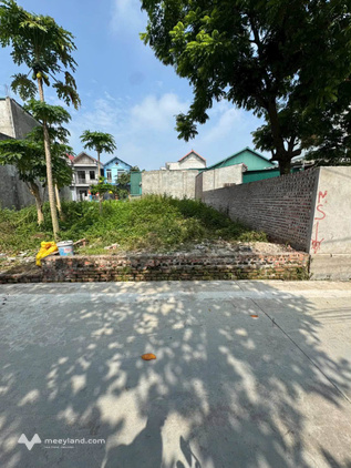 Đất 80,8m2 tại Đồng Trữ, Ứng Hòa, vị trí tiềm năng