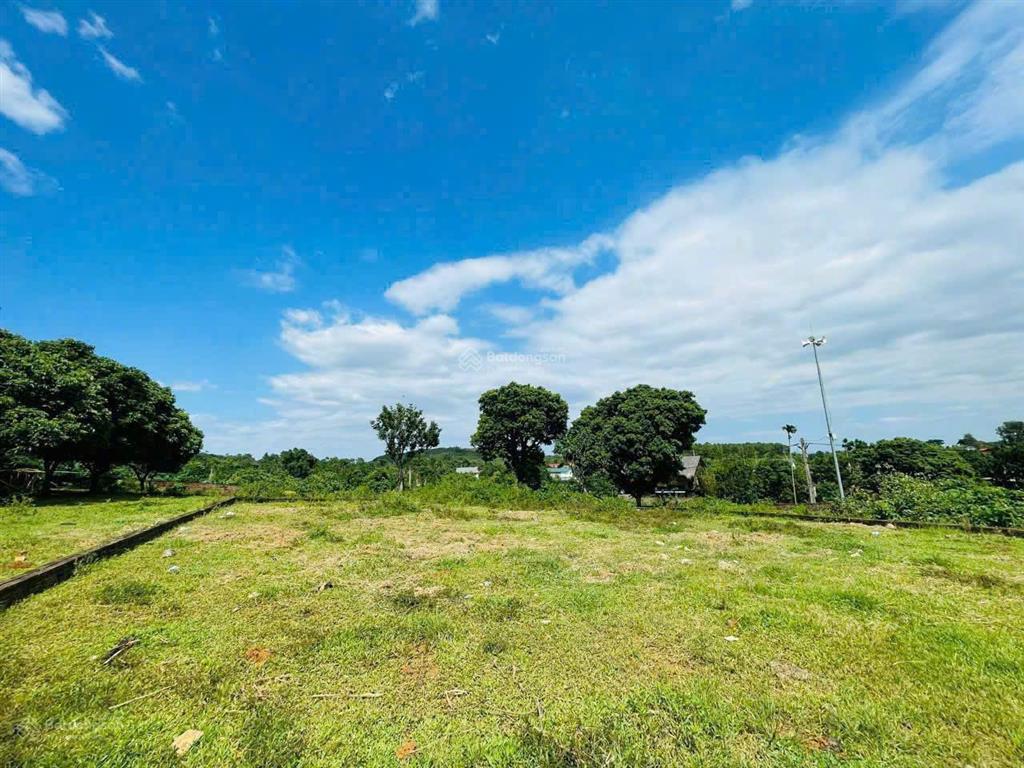 453m bám mặt trục chính liên thôn