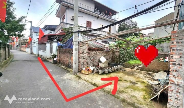 Mảnh đất vàng tại Ngọc Động, Đa Tốn, Gia Lâm
