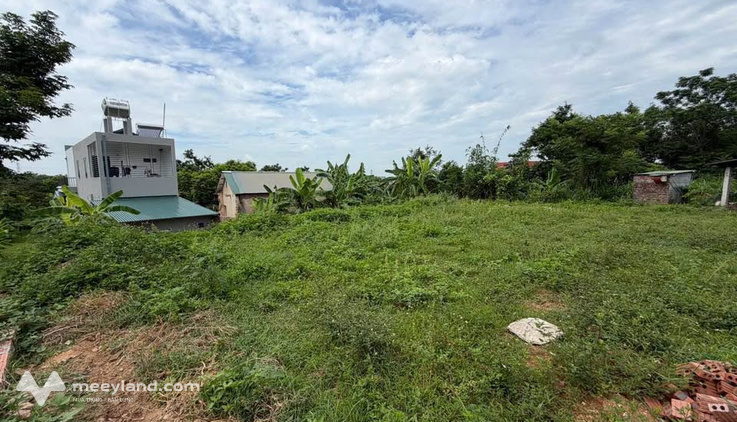Đất nghỉ dưỡng view đỉnh tại Tam Đảo, giá rẻ giật mình
