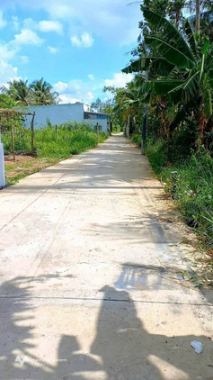 Săn ngay đất vườn 1038m2 giá cực yêu chỉ 990 triệu