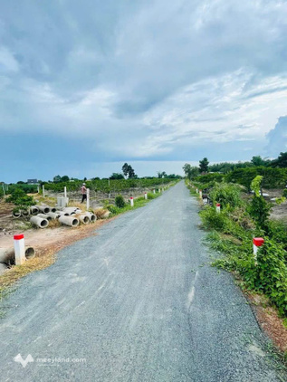 Bán đất mặt tiền đường nhựa tại xã Dương Minh Châu, Tây Ninh