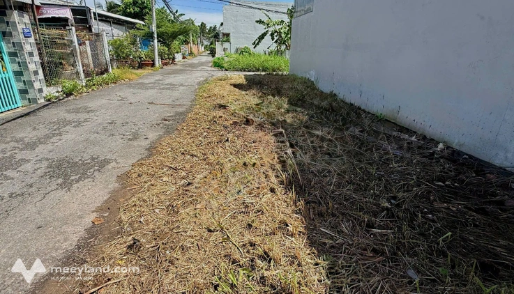 Bán đất nền 100,5m2 tại xã Phú Nhuận, thành phố Bến Tre