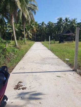Đất vườn Nhơn Thạnh, Bến Tre, trí đẹp, giá đầu tư cực tốt