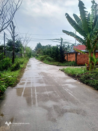 Bán đất 206m2 tại Phú An, Hòa Châu, Châu Thành, Bến Tre