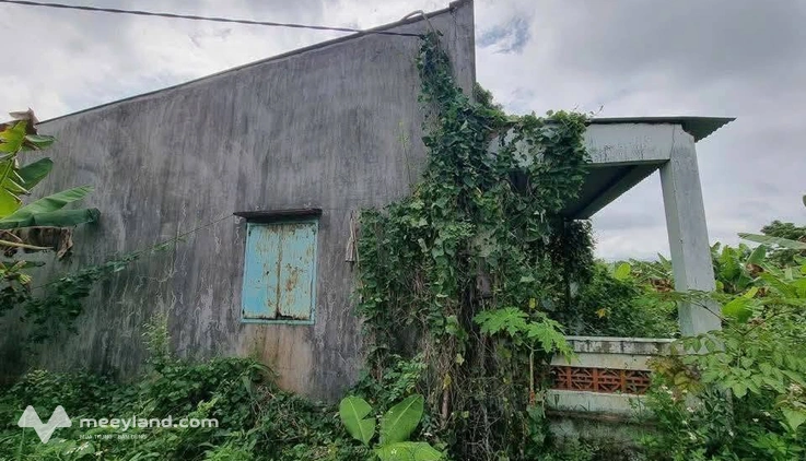Sở hữu ngay 9,000m2 đất vườn view suối cực chill tại Định Quán