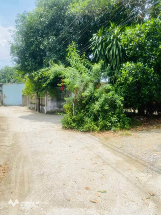Đất đẹp tại phường Trấn Biên, Biên Hòa, diện tích 72m2, sổ hồng riêng