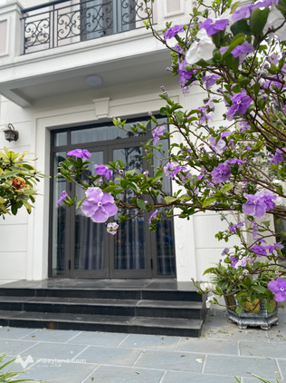 Biệt thự đơn lập hướng Nam 216m² – 15,243 tỷ | Sẵn sổ sang tên