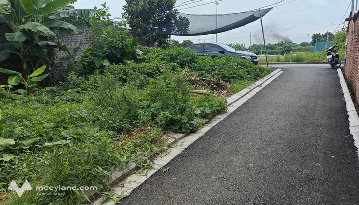 Đất vàng Dương Quang, Gia Lâm, đất vuông vắn, đường thông thoáng
