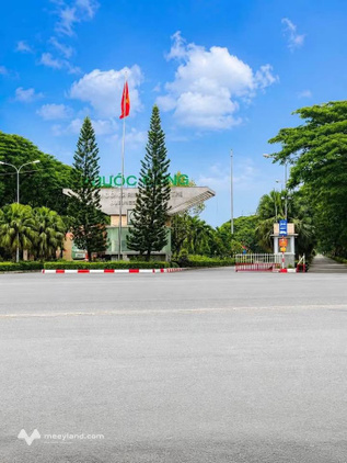 Đất Gò Dầu, Tây Ninh giá chỉ 550 triệu, gần khu công nghiệp Phước Đông