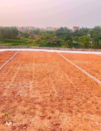Lô đất view hồ đẹp tại Lan Mẫu, Bắc Giang, từ 700 triệu
