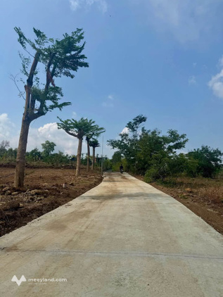 Săn ngay đất đẹp Buôn Ma Thuột, giá rẻ bất ngờ chỉ 455 triệu