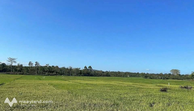 Lô đất vườn bằng phẳng, không gian yên bình tại Ea Tiêu, Cư Kuin