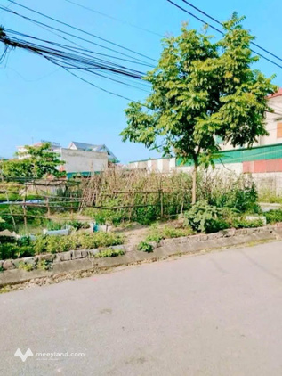 Cắt lỗ cực sốc, đất đẹp Liên Phương, Uông Bí, kinh doanh đỉnh