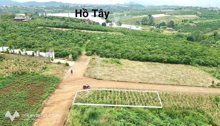 Lô góc 2 mặt tiền view hồ Tây, thị trấn Di Linh, giá 1,3 tỷ