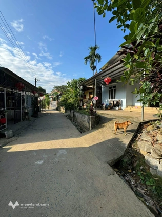 Chốt ngay mảnh đất vàng ngõ 22 Lê Hoàn, giá chỉ 790 triệu