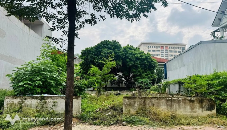 Đất vàng Trần Thị Lan, sầm uất ngay chợ Châu Úy, kinh doanh bao lời