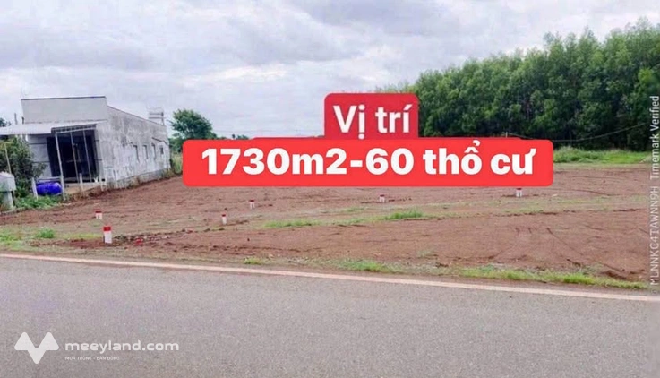 Đất Long Tân 1,700m2 giá chỉ 1,56 tỷ, sổ sẵn công chứng ngay