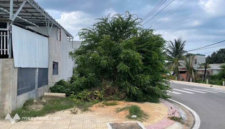 Bán lô góc 100m2 tại khu tái định cư xử lý nước thải Ninh Thuận giá rẻ