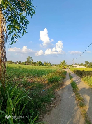 Đất đẹp như mơ, giá rẻ bất ngờ tại Sông Hinh