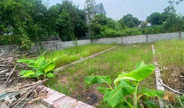 Đất Thượng Trang, Bát Trang, sát khu công nghiệp Tràng Duệ 3, giá cực hời