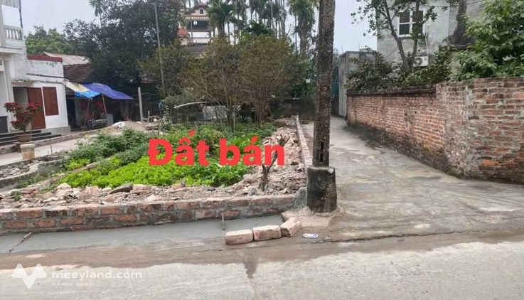 Lô góc 100m2 trục chính Làng Hoa Tích Giang, Phúc Thọ, vị trí đắc địa