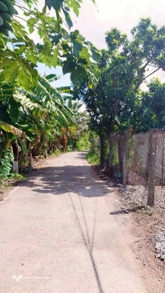 Đất vườn Bến Tre giá rẻ bất ngờ, chỉ 410 triệu sở hữu ngay