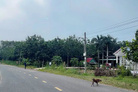 Bán lô đất tiềm năng tại đường DH619, xã Long Nguyên, huyện Bàu Bàng, tỉnh Bình Dương cũ