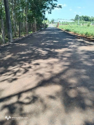 Lô đất 395m2 mặt tiền đường nhựa tại Xuyên Mộc, giá chỉ 1.3 tỷ