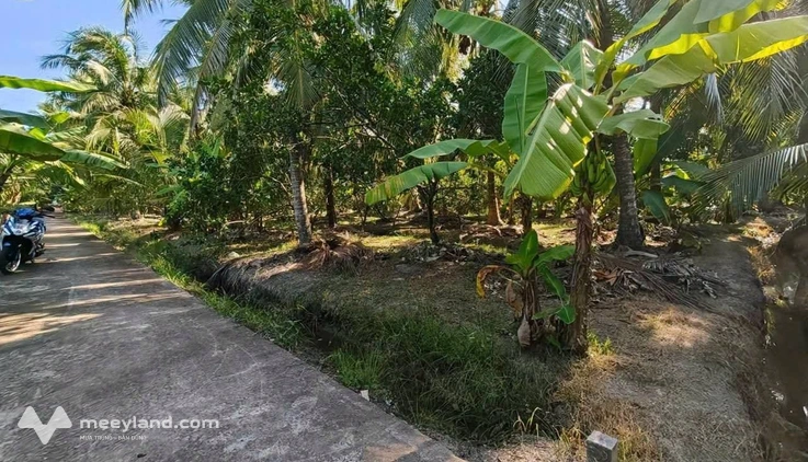 Đất biệt thự vườn 583m2 tại Phú Tân, Bến Tre, không gian xanh mát
