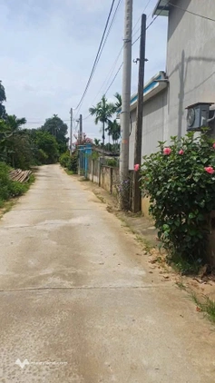 Bán đất thổ cư tại phường Văn Phú, thành phố Yên Bái