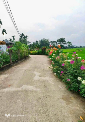 Đất thổ cư 162m2 tại Hòa Tiến, Hòa Vang, Đà Nẵng