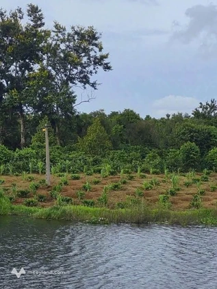 Bán gấp 4.1 sào đất view hồ đầu nguồn cực đẹp tại Đắk Lắk