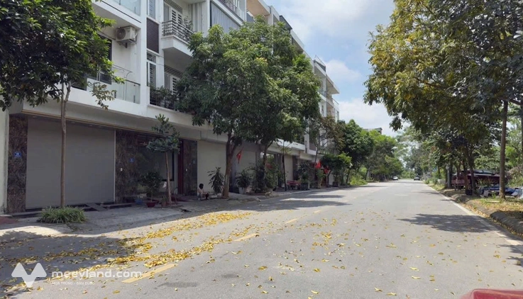 Bán đất lô góc mặt phố Ngô Văn Sở, Tây Nam Cường, 65m2, 2 mặt đường, giá cực tốt chỉ 3.3 tỷ