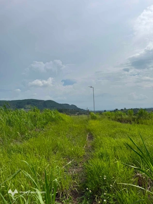 Bán 1,5 ha đất tại Thôn 5, xã Nam Ban, huyện Lâm Hà, Lâm Đồng