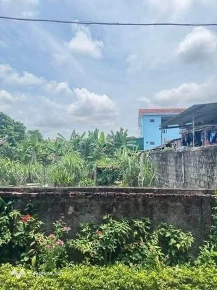 Đất Bắc Nghĩa, Quảng Bình, giá rẻ như cho, chốt ngay kẻo lỡ