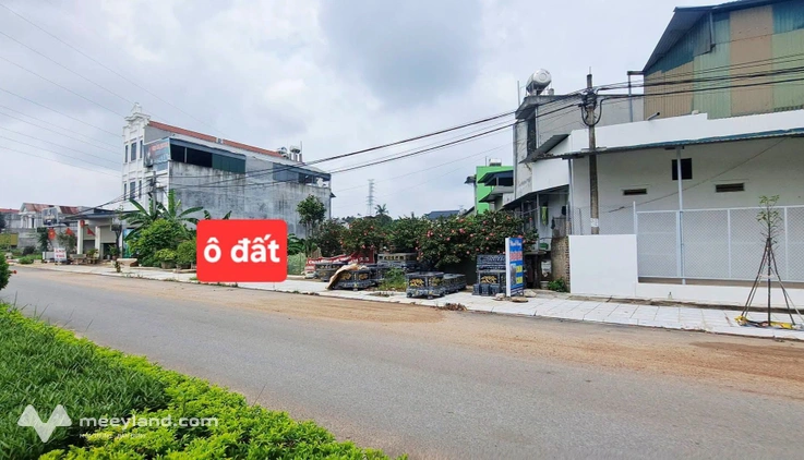 Đất Vĩnh Phúc 100m² đầu đường đôi, vị trí kinh doanh đắc địa